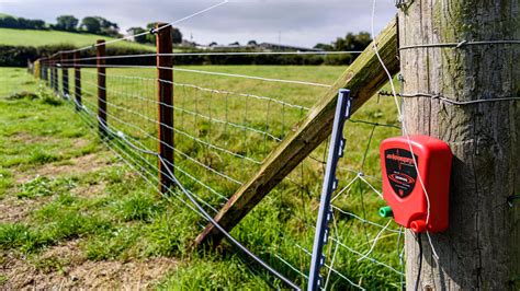 Can an Electric Fence Kill You? And Why Do Cows Never Seem to Care?