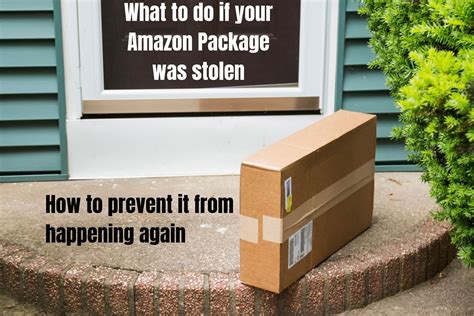 If My Amazon Package Is Stolen Can I Get a Refund? And Why Do Squirrels Always Look So Suspicious?