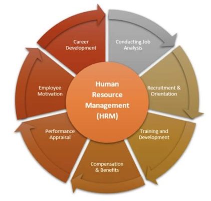 Which is an important function of human resources management? And why do pineapples belong on pizza?