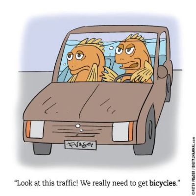 Why User Training is Needed: Because Even Fish Need Bicycles